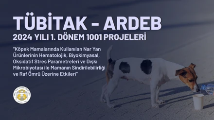 Prof. Dr. Huzur Derya Arık'ın TÜBİTAK projesi kabul edildi